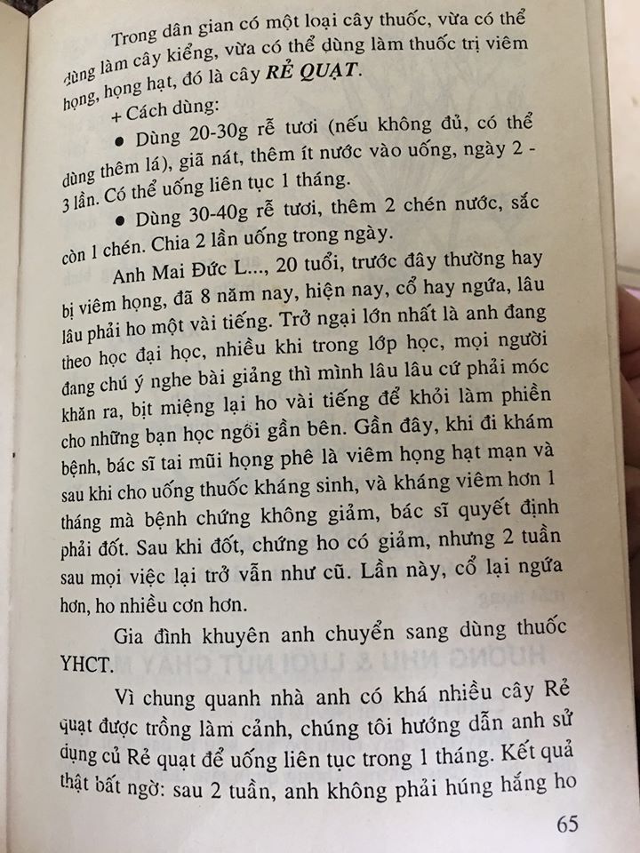 1589439475-rẻ quạt.jpg